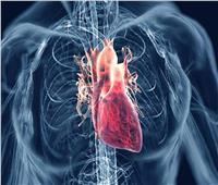 عميد معهد القلب السابق: القلب مسئول عن تغذية 100 تريليون خلية بالجسم