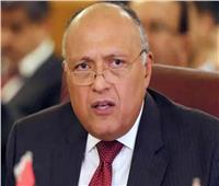الخارجية المصرية تبنت مشروع الإصلاح الاقتصادي الشامل خلال 2021