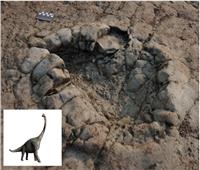 قدم ديناصور عمرها 200 مليون سنة.. بصمات على شاطىء ويلز تحير العلماء 