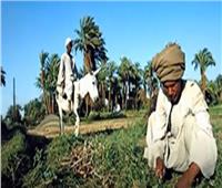 «الزراعة»: التنمية المجتمعية تؤثر بشكل كبير على سكان الريف | فيديو