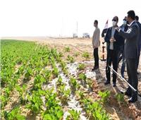 مصر تنطلق|  320 مشروعاً بتكلفة 40 مليار جنيـه تكتب «ميلاداً جديداً» للقطاع الزراعى
