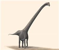 علماء الحفريات يحددون أنواعاً جديدة من الديناصور طويل العنق