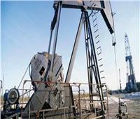 «أوبك+» يزيد إنتاج النفط في فبراير الي 400 ألف برميل يومياً