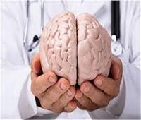 دراسة: زيادة مستوى الحديد في الجسم يؤدي لتلف المخ