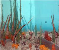 «الشعب المرجانية انقذت العالم».. علماء يحلون لغز الانقراض الجماعي «الأوردوفيشي»