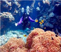 بسبب التغير المناخي.. وزيرة البيئة: البحر الأحمر سيصبح ملاذ السياح في العالم