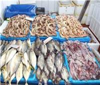 استقرار أسعار الأسماك في سوق العبور19 يناير 