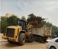 نظافة القاهرة ترفع مخلفات القمامة من «زينهم»