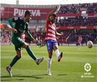 أوساسونا يهزم غرناطة بهدفين في الدوري الإسباني