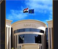 السماح لـ21 مواطنا الحصول على الجنسية الأجنبية واحتفاظهم بـ«المصرية»