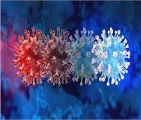 متحدث الصحة:  ارتفاع فى أعداد الإصابات بسبب المتحور الجديد لفيروس كورونا