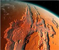 مسبار يلتقط صورة غريبة من سطح الكوكب الأحمر