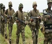 جيش النيجر يعلن تصفية 10 مسلحين تابعين لتنظيم داعش