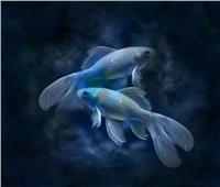 دراسة: الأسماك ذات الزعانف يمكنها التواصل باستخدام الإشارات الصوتية