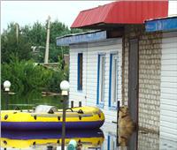 بعد نفوقه.. تمثال لـ«الكلب» رمز الإخلاص في فيضانات روسيا 2013