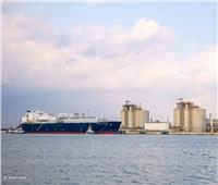 حركة الصادرات والواردات والحاويات اليوم بهيئة ميناء دمياط البحري 