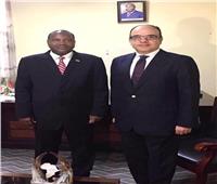 السفير المصري في بوروندي يلتقي وزير الزراعة والبيئة والري