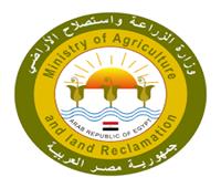 مصر تشارك في اجتماع المنظمة العربية للتنمية الزراعية عبر الفيديو كونفرانس