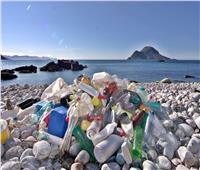 «البيئة» تعد شبكة معلوماتية للتعريف بمخاطر «القمامة البحرية»