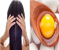 وصفات طبيعية | «صفار البيض وزيت جوز الهند» لتنعيم الشعر 