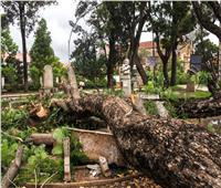 برنامج الغذاء العالمي: إعصار «باتسيراي» دمر مدينة مننجاري بمدغشقر