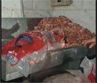 فيديو| غلق وتشميع أكبر مصنع لحوم بعد ضبط 2 طن حواوشي فاسدة في الجيزة