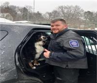 فيديو درامي يظهر شرطي ينقذ كلبًا بشجاعة من السيارة المحترقة