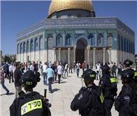 عشرات المستوطنون يقتحمون المسجد الأقصى تحت حراسة شرطة الاحتلال