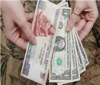 أسعار الدولار مقابل الجنيه المصري في منتصف تعاملات 8 فبراير