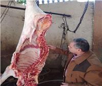 ضبط جزار يذبح الماشية داخل منزله ويعتمد اللحوم بـ«أختام مزورة» بالشرقية