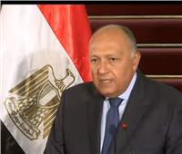 شكري: الحكومة المصرية تسعى لتوفير جميع سبل الرعاية لمواطنيها