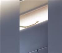 ثعبان داخل طائرة ماليزية يثير الذعر بين الركاب | فيديو