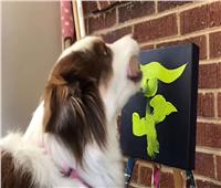 كلبة موهوبة.. بيع أعمالها الفنية بما يقارب 15000 جنيه إسترليني