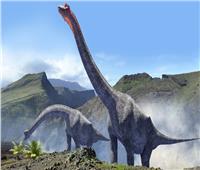 «الخشت» يكشف تفاصيل اكتشاف آثار أقدام ديناصورات عاشت في الصحراء الشرقية