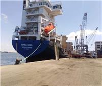 اقتصادية قناة السويس: تداول 230 سفينة بموانئ المنطقة الشمالية خلال يناير