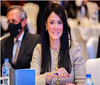 دور الشراكات الدولية في دعم تنفيذ مبادرة التنمية المتكاملة للريف المصري "حياة كريمة"