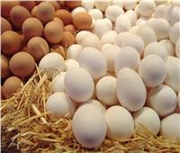 ارتفاع أسعار البيض الجمعة 18 فبراير
