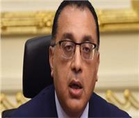 الحكومة: لا صحة لطرح 5 آلاف قطعة أثرية مصرية للبيع بمزاد عالمي