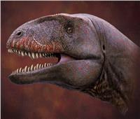 عمره 70 مليون سنة ..اكتشاف نوع جديد من الديناصورات 