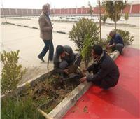 زراعة 3660 شجرة بمركز جهينة في سوهاج ضمن فعاليات مبادرة «أحلى وهي خضرة»