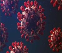 هل يؤثر فيروس كورونا بشكل مباشر على الكبد والمخ والرئة.. استشاري يجيب| فيديو