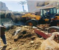 إزالة ٦ حالات تعدِ علي الاراضي الزراعية بمركز أبو النمرس| فيديو