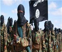 مقتل 5 جنود تشاديين في كمين لـ«بوكو حرام»