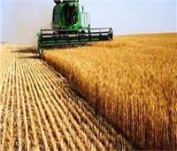 الزراعة الروسية تعلن خفض أسعار تصدير القمح والشعير 