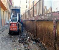 محافظة الجيزة تواصل إزالة القمامة والمخلفات من شوارع أوسيم | صور