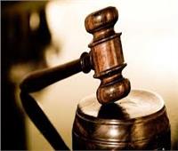 تأجيل محاكمة 20 محاميا بتهمة إهانة القضاة في المنيا