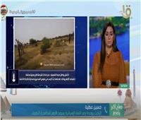 مرصد الأزهر: داعش لن يتأثر بمقتل زعيمه |فيديو 