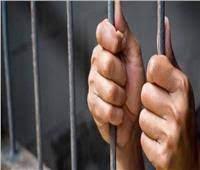 حبس لصوص سرقة متعلقات المواطنين بالبساتين