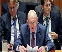 مندوب روسيا في مجلس الأمن: هجوم قواتنا على منشأة نووية بأوكرانيا «كذب»