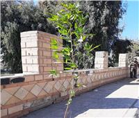 محافظ سوهاج : زراعة 1570 شجرة بحي غرب ضمن مبادرة «أحلى وهي خضرة»
